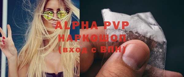 СК Медвежьегорск