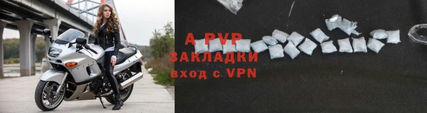 СК Медвежьегорск