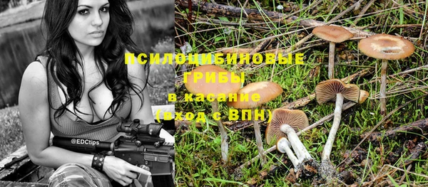 крисы Магас