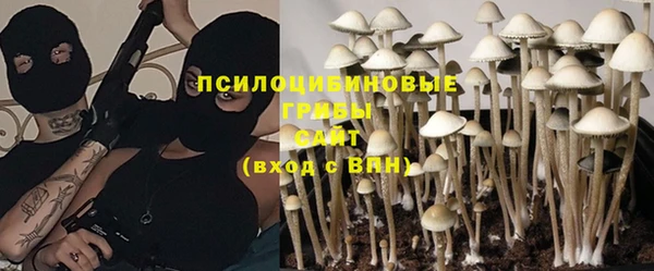 прущая мука Мегион