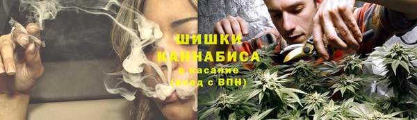 прущая мука Мегион