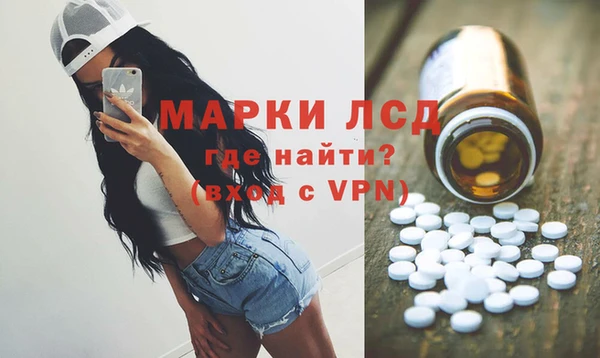 СК Медвежьегорск