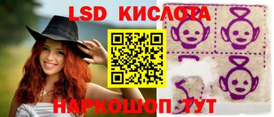 apvp Кингисепп