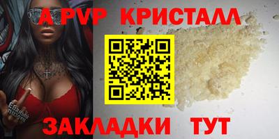 apvp Кингисепп