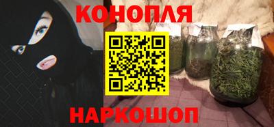 apvp Кингисепп