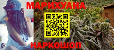 apvp Кингисепп
