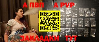 apvp Кингисепп