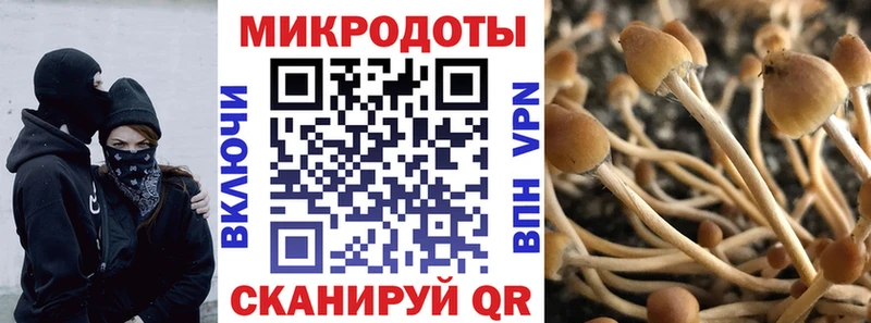 Галлюциногенные грибы мицелий  ссылка на мегу зеркало  Светлоград 