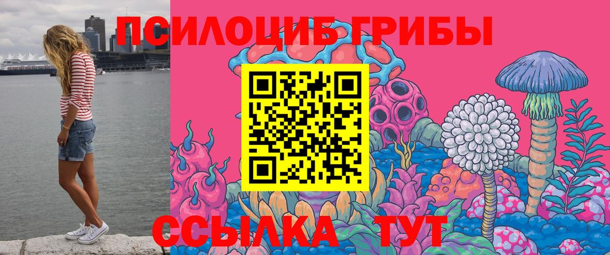 Псилоцибиновые грибы Magic Shrooms  Вход с VPN  Светлоград 
