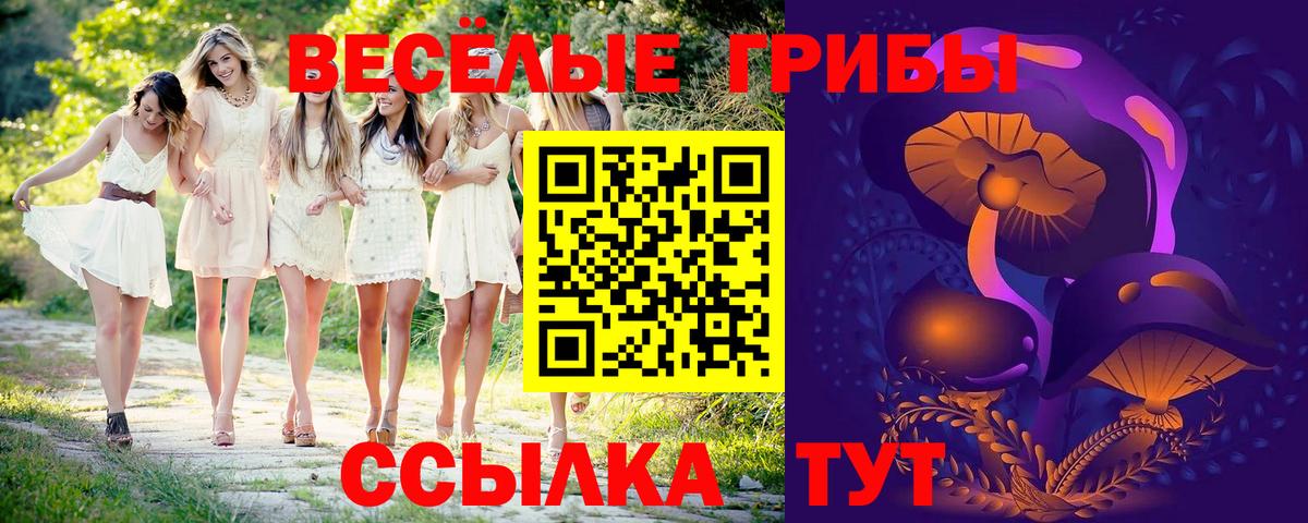 Псилоцибиновые грибы Psilocybine cubensis Светлоград